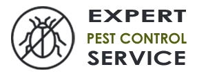 Emergency Exterminator Company  Hollywood FL